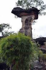 DSC_0074.JPG