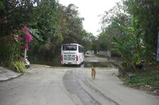 CIMG1590.JPG