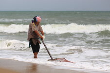 IMG_7935.JPG