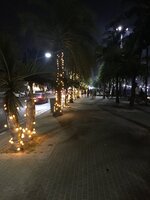 IMG_4720.JPG
