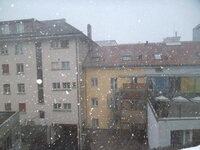 31568717qf.jpg