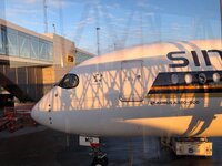 D23E5683-853B-4CDE-96CA-D738AE13542E.jpeg