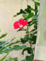 31731904ji.jpg
