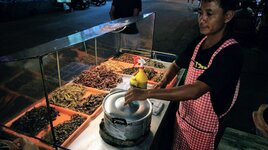 IMAG0513.jpg