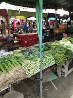 C8421EDA-8541-4D0F-AB7F-584FABFD6E51.jpeg