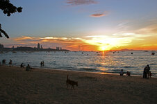 IMG_3748abc.jpg