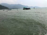98C81173-D9A8-45EF-B31D-FEA90A10CCB1.jpeg