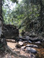 3B067CED-0083-4BEA-9AD7-296DC17E08FE.jpeg