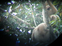 Thailand 08-11-06 - 06-01-07 795.jpg