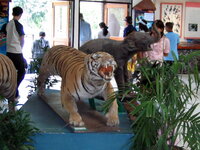 Thailand 08-11-06 - 06-01-07 788.jpg