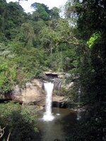 Thailand 08-11-06 - 06-01-07 822.jpg