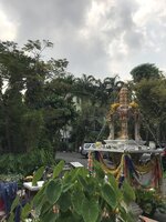 0C69668E-6CEC-4D22-8A1D-DBA322BA6D44.jpeg