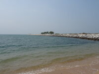 DSC04208.JPG