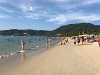 C6B8BE84-AE94-4062-A260-819181BB95CB.jpeg