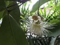 0583CA7F-C485-4FFD-84C3-D30D6F1B30CB.jpeg