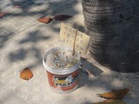 IMG_1842.jpg
