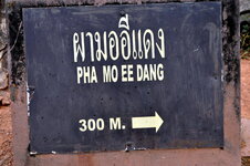 DSC_0507.JPG
