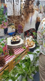 20180309_140924.jpg