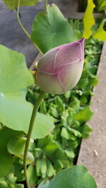 20180103_075036.jpg