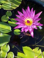 20171231_095953.jpg