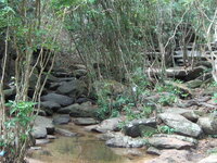 Thailand 08-11-06 - 06-01-07 548.jpg