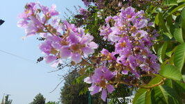 20180310_104336.jpg