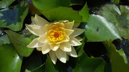 20180310_120635.jpg