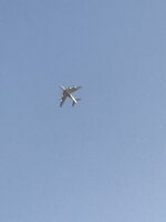 5CB747CE-C15D-4E5C-B384-E060233065C0.jpeg
