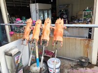 IMG_3279.JPG
