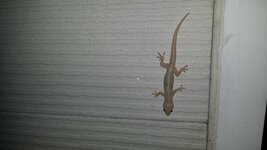 2014-05-1901.22.46-73wxr5k.jpg