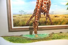 img_0049n730xjqeo.jpg