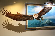 img_0060n730jbpjy.jpg