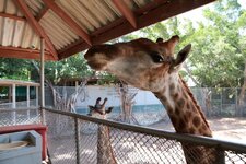 img_0161n7301fuog.jpg