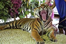 img_0212n730ovom6.jpg