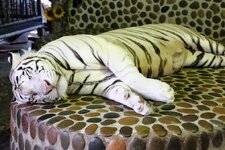 img_0248n730rdof9.jpg