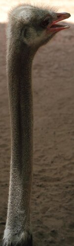 img_0324n730rzkdz.jpg