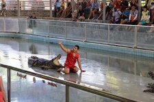 img_0257n730y1pkj.jpg