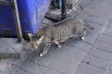 img_0372n730kyklx.jpg