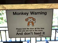 IMG_0284.JPG