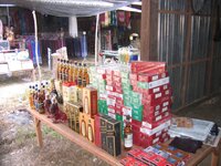 113-a.JPG