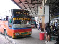 485.jpg