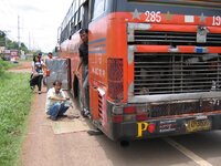 490.jpg