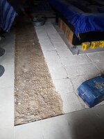 20180521_142444.jpg