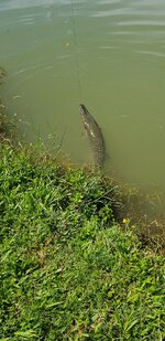 20180604_095344.jpg