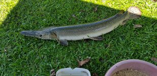 20180604_095455.jpg