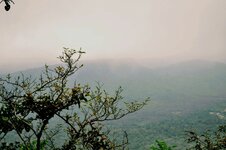 IMG_20180513_052240.jpg
