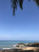 95B222B3-EDAC-4FAD-9406-40109D1EFD0B.jpeg 95B222B3-EDAC-4FAD-9406-40109D1EFD0B.jpeg