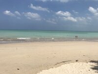 64F95A81-C3F2-4708-B2F3-651BB348AE9C.jpeg 64F95A81-C3F2-4708-B2F3-651BB348AE9C.jpeg