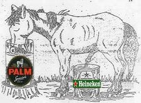 heineken.JPG