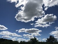 A3DCB044-4E08-469E-B425-6868B7E79C57.jpeg
